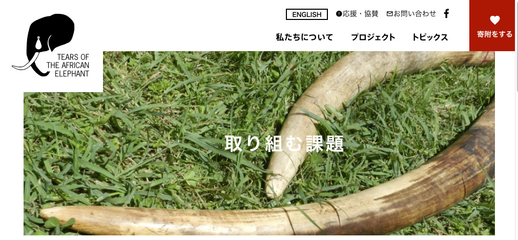 donation-tears-of-the-african-elephant-2