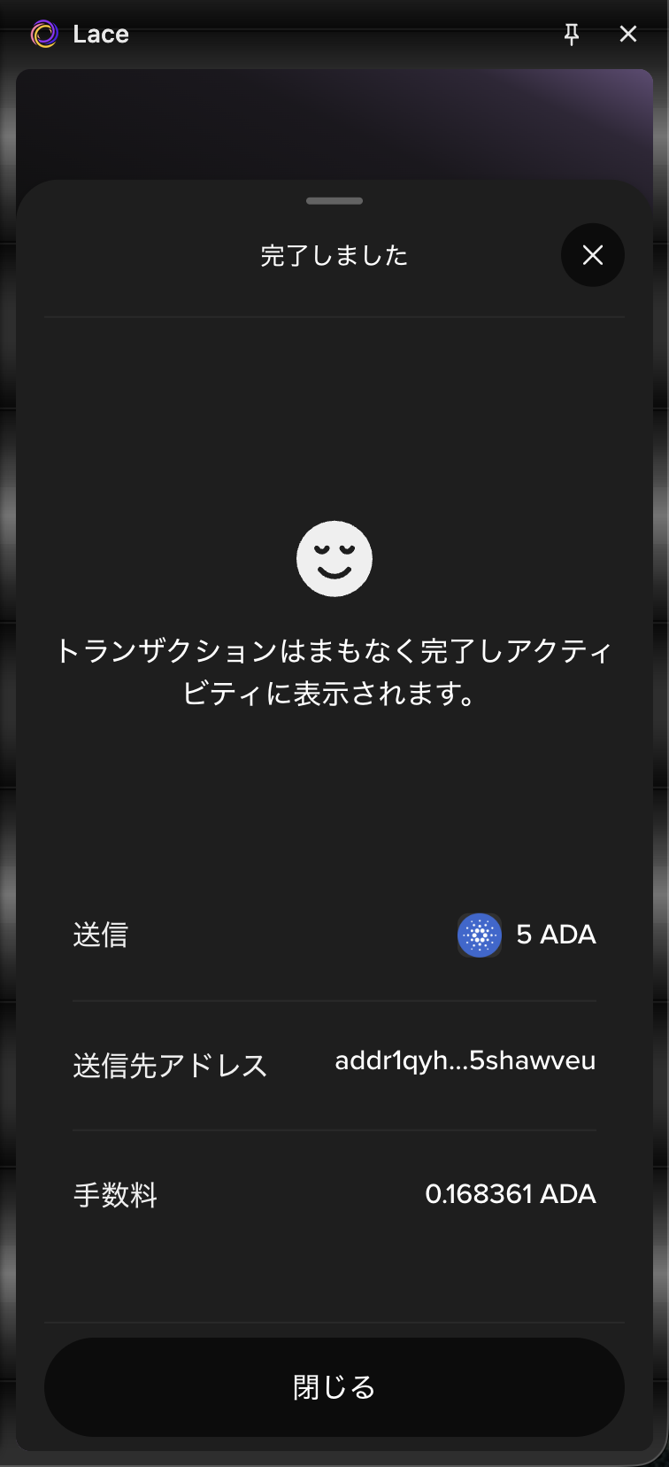 lace-send-6