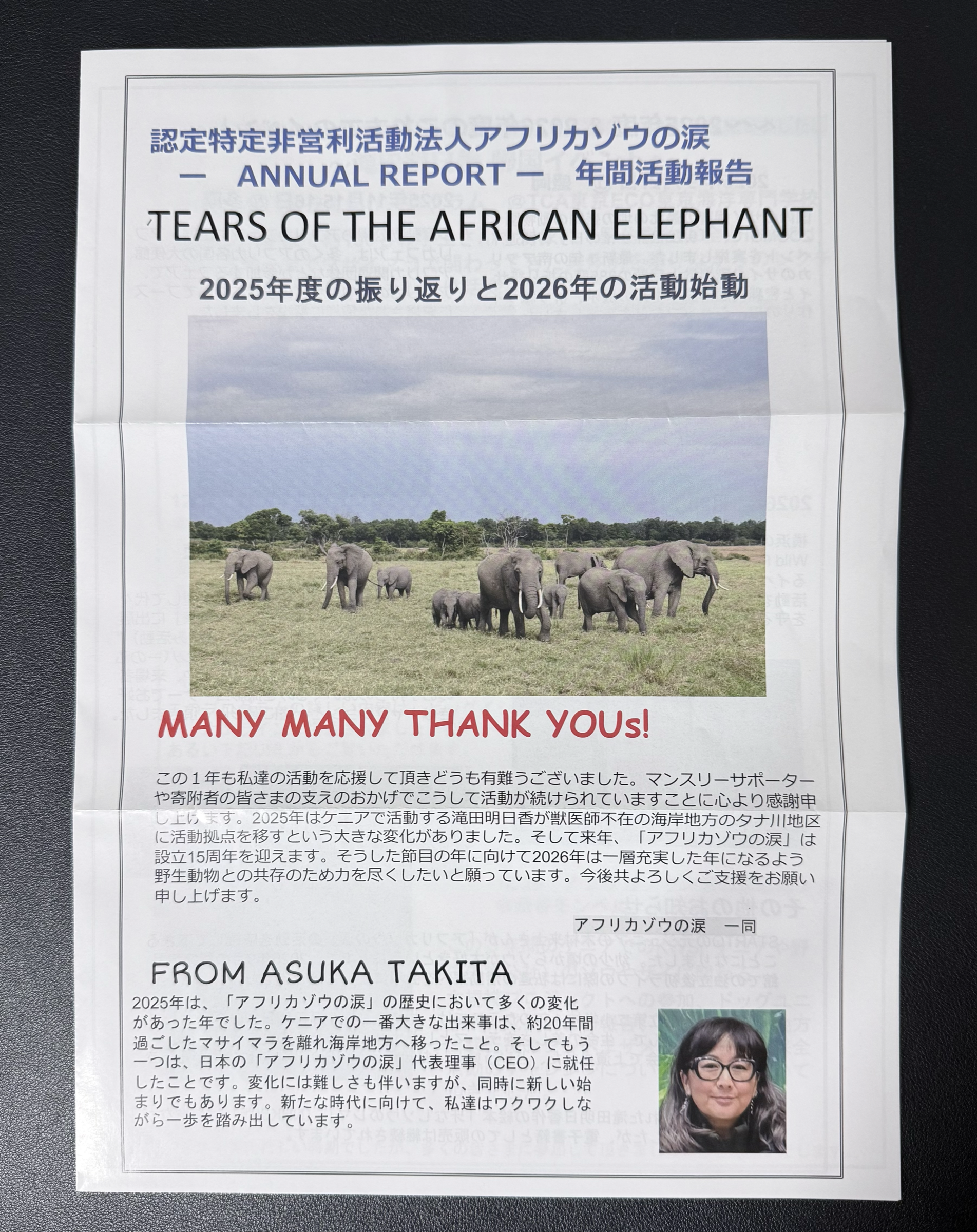 The annual report from Tears of the African Elephant, reviewing 2025 and introducing its activities for 2026