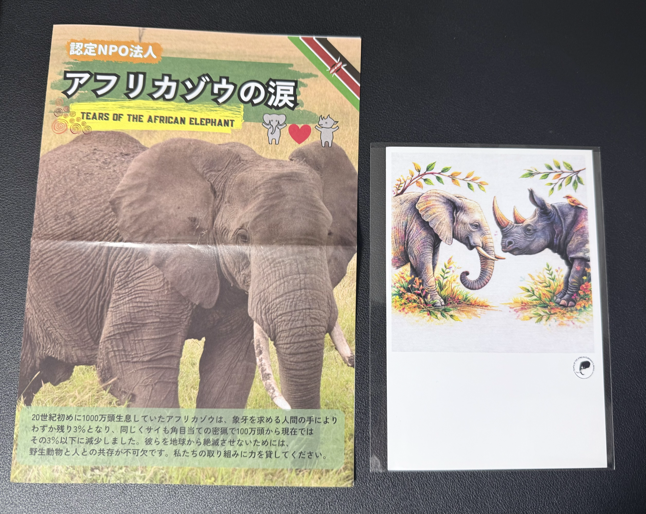 A Tears of the African Elephant brochure beside an illustration of an elephant and a rhino facing each other